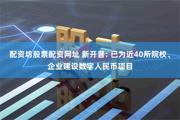 配资坊股票配资网址 新开普: 已为近40所院校、企业建设数字人民币项目